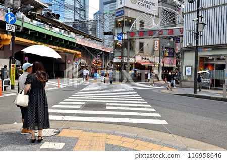 People waiting for the traffic light at the Karasumori intersection of Shimbashi Station People waiting for the traffic light at the Karasumori intersection of Shimbashi Station 116958646