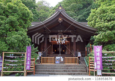 武州白子熊野神社（和光） 116958670