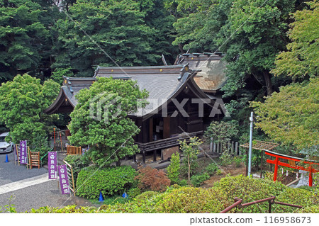 Bushu Shirako Kumano Shrine (Wako) Bushu Shirako Kumano Shrine (Wako) 116958673