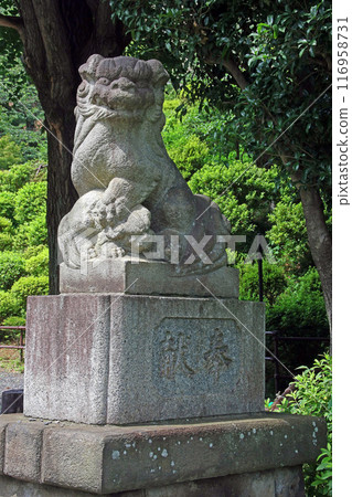 Bushu Shirako Kumano Shrine (Wako) 116958731