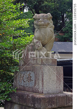 武州白子熊野神社(和光) 武州白子熊野神社(和光) 116958735
