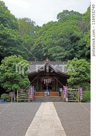 武州白子熊野神社（和光） 116958740