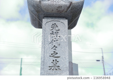 墳墓的墓碑 116958948