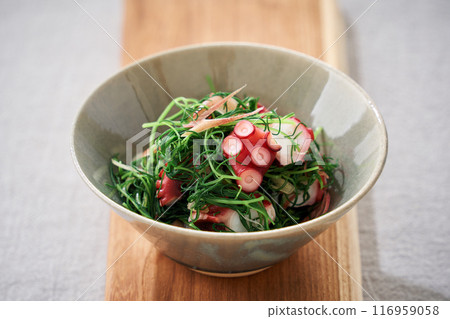 岡崎和醋章魚 116959058