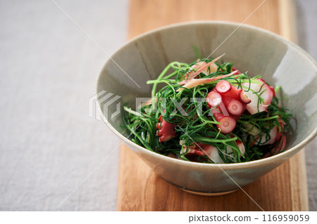 岡崎和醋章魚 116959059