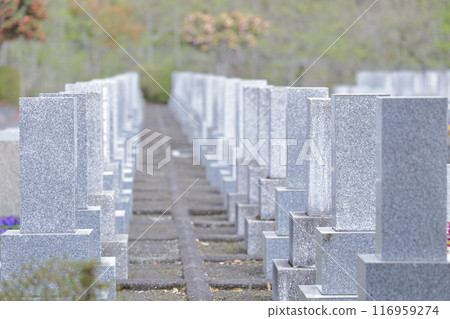 墳墓的墓碑 116959274