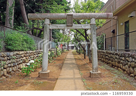 西大泉詰訪神社（練馬） 116959330