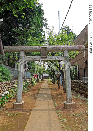 Nishioizumi Suwa Shrine (Nerima) Nishioizumi Suwa Shrine (Nerima) 116959331