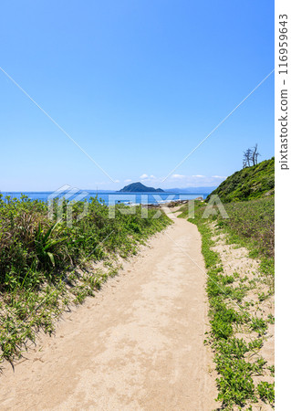 Kamishima Island seen from the Irago Cape Promenade, Tahara City, Aichi Prefecture 116959643