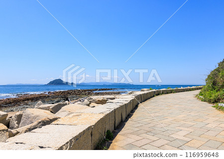 從愛知縣田原市伊良湖岬散步道眺望神島 116959648