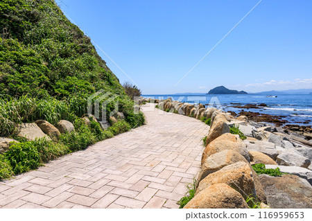 Kamishima Island seen from the Irago Cape Promenade, Tahara City, Aichi Prefecture 116959653