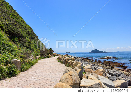 Kamishima Island seen from the Irago Cape Promenade, Tahara City, Aichi Prefecture 116959654