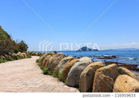 從愛知縣田原市伊良湖岬散步道眺望神島 116959655