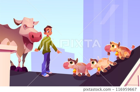 Teen boy, cow and calves stand on roof of house 116959667