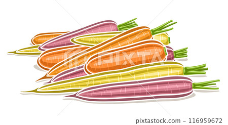 Vector logo for Carrot Vector logo for Carrot 116959672