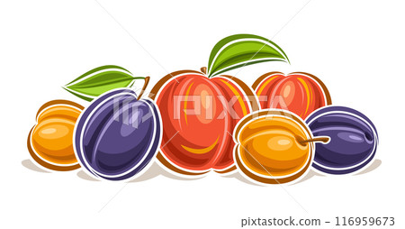 Vector Fruit Logo 116959673