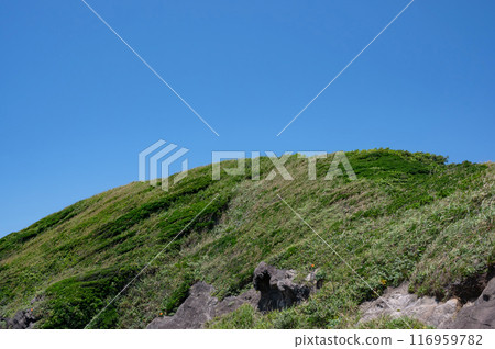 神奈川縣城島的藍天和綠草如茵的山丘令人心曠神怡 116959782