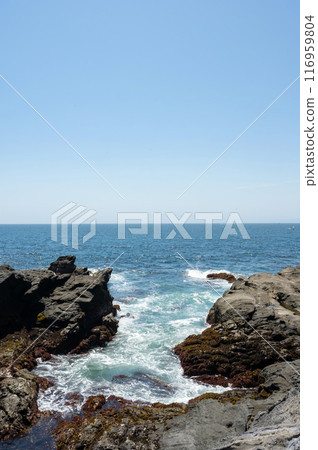 海浪拍擊神奈川縣城島的岩石海岸 海浪拍擊神奈川縣城島的岩石海岸 116959804