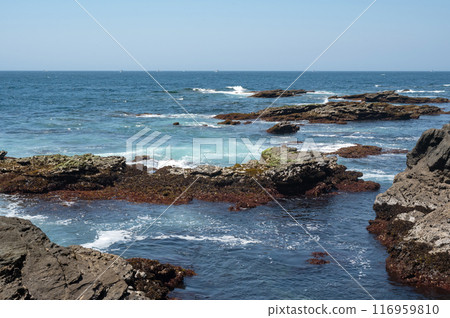 Waves crashing on the rocks at Jogashima Beach, Kanagawa Prefecture 116959810