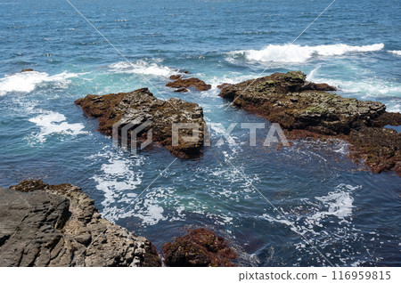海浪拍打著神奈川縣城島海岸的岩石 116959815