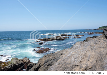Waves crashing on the rocks at Jogashima Beach, Kanagawa Prefecture 116959817