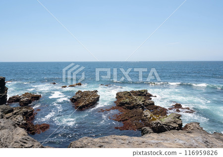 Waves crashing on the rocks at Jogashima Beach, Kanagawa Prefecture Waves crashing on the rocks at Jogashima Beach, Kanagawa Prefecture 116959826