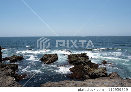海浪拍打著神奈川縣城島海岸的岩石 116959829
