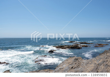 Waves crashing on the rocks at Jogashima Beach, Kanagawa Prefecture 116959831