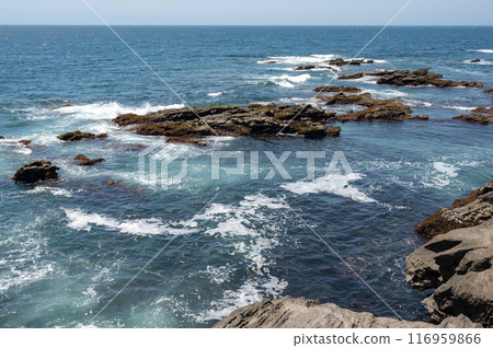 海浪拍打著神奈川縣城島海岸的岩石 116959866