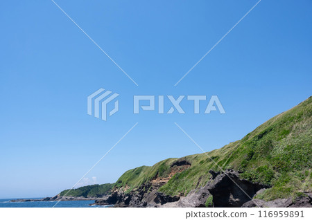 Coastal scenery of Jogasaki, Kanagawa Prefecture 116959891