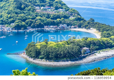 伊豆美浜岬,駿河灣洋流形成的沙吐卵石灘,紅蠵龜在此產卵 伊豆美浜岬,駿河灣洋流形成的沙吐卵石灘,紅蠵龜在此產卵 116959954