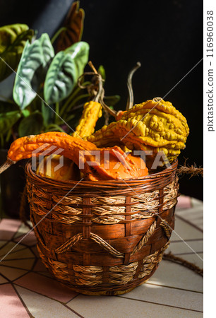 Decorative creative set of decoration with different types of pumpkin Wax gourd, momordica on a table 116960038