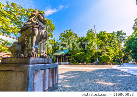 Samukawa cityscape in Japan. Sagami Province Ichinomiya Samukawa Shrine and shrine office. Lots of greenery. July 21, 2024 116960058