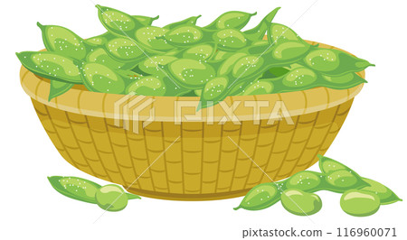 籃子裡毛豆的插圖圖示/淺棕色籃子加鹽 116960071