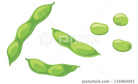 Simple edamame illustration icon Simple edamame illustration icon 116960081