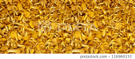 Chanterelles, Mushroom Background Chanterelles, Mushroom Background 116960155