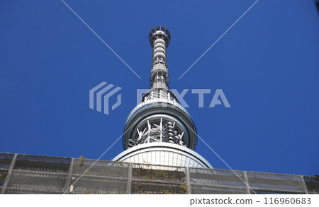 從東京晴空塔站附近看到的東京晴空塔 116960683