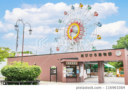 北海道帶廣市 - 陽光明媚的帶廣動物園 116961084