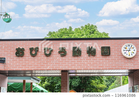 Obihiro Zoo in Obihiro, Hokkaido on a sunny day Obihiro Zoo in Obihiro, Hokkaido on a sunny day 116961086