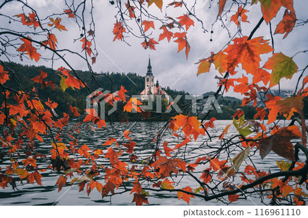 布萊德湖的聖瑪麗教堂秋葉 116961110