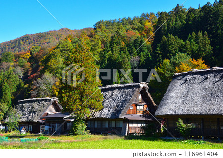 Autumn Shirakawa-go Ogimachi district 116961404