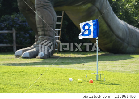 image of ground golf 116961496