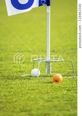 地面高爾夫球場的圖像 116961500