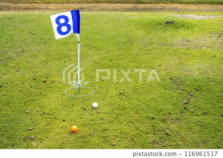 image of ground golf 116961517