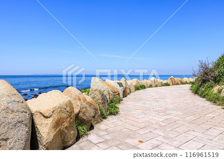 伊良湖岬散步道 愛知縣田原市 伊良湖岬散步道 愛知縣田原市 116961519