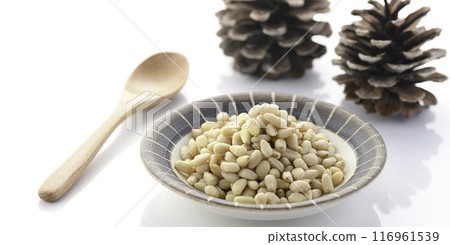 松子 松子 116961539