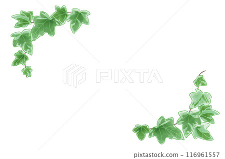 Green ivy frame 116961557