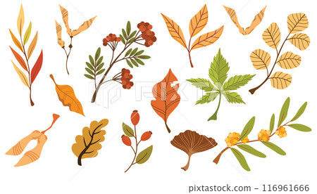 2212_autumn_foliage 2212_autumn_foliage 116961666