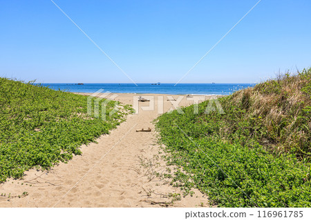 Koijigahama Beach at Cape Irago, Tahara City, Aichi Prefecture 116961785