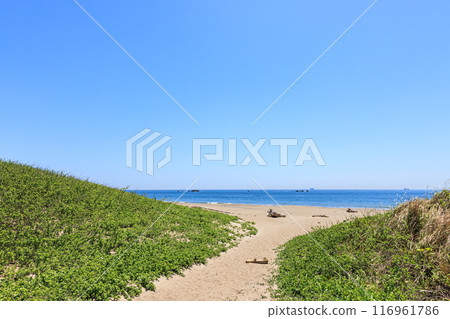 愛知縣田原市伊良湖岬的小路濱海灘 116961786